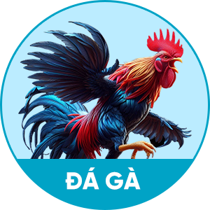 Da-Ga-qs88