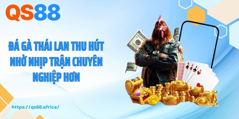 Đá gà Thái Lan thu hút nhờ nhịp trận chuyên nghiệp hơn
