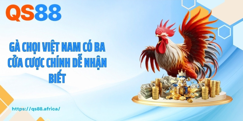 Gà chọi Việt Nam có ba cửa cược chính dễ nhận biết