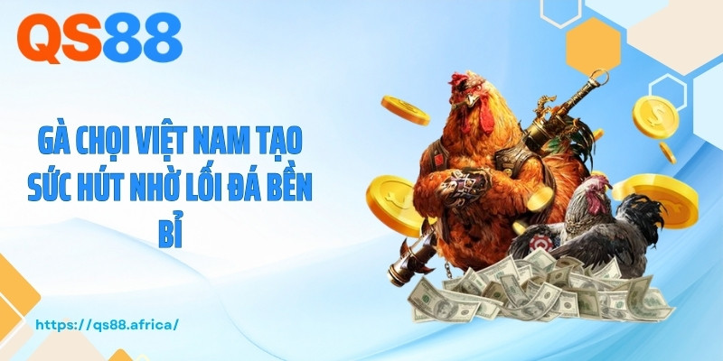 Gà chọi Việt Nam tạo sức hút nhờ lối đá bền bỉ