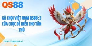 Gà Chọi Việt Nam QS88: 3 Cửa Cược Dễ Hiểu Cho Tân Thủ